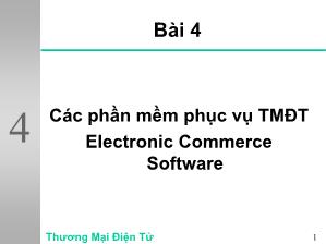 Các phần mềm phục vụ thương mại điện tử - Electronic Commerce Software