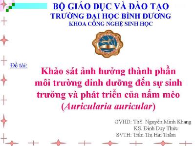 Đề tài Khảo sát ảnh hưởng thành phần môi trường dinh dưỡng đến sự sinh trưởng và phát triển của nấm mèo