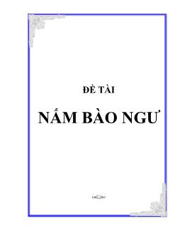 Đề tài Nấm bào ngư