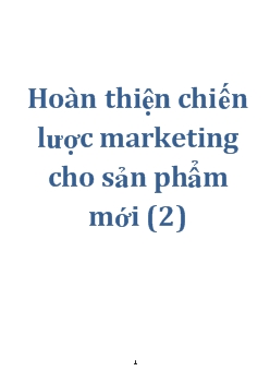 Hoàn thiện chiến lược marketing cho sản phẩm mới(2)