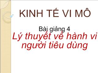 Kinh tế vi mô - Bài giảng 4: Lý thuyết về hành vi người tiêu dùng