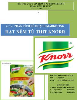 Phân tích kế hoạch marketing - Hạt nêm từ thịt Knorr