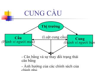 Bài giảng Cung cầu