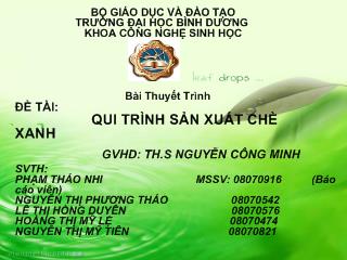 Đề tài Qui trình sản xuất chè xanh