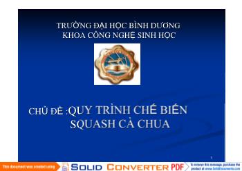 Đề tài Quy trình chế biến squash cà chua