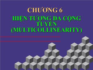 Hiện tượng đa cộng tuyến (multicollinearity)