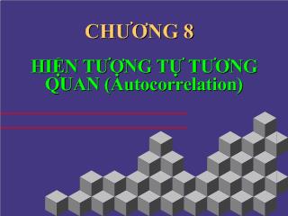 Hiện tượng tự tương quan (autocorrelation)