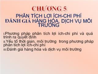 Phân tích lợi ích, chi phí đánh giá hàng hóa, dịch vụ môi trường