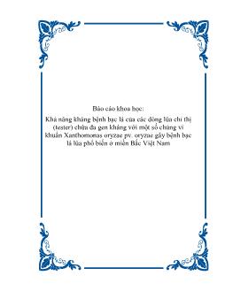 Báo cáo Khoa học Khả năng kháng bệnh bạc lá của các dòng lúa chỉ thị (tester) chứa đa gen kháng với một số chủng vi khuẩn Xanthomonas oryzae pv. oryzae gây bệnh bạc lá lúa phổ biến ở miền Bắc Việt Nam