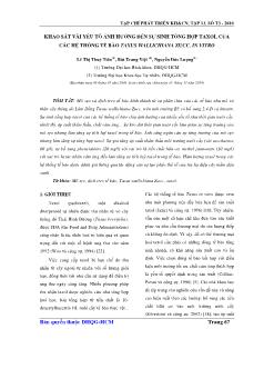 Báo cáo Khoa học Khảo sát vài yếu tố ảnh hưởng đến sự sinh tổng hợp taxol của các hệ thống tế bào taxus Wallichiana zucc. in vitro