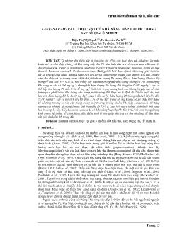 Báo cáo Khoa học Lantana camara l., thực vật có khả năng hấp thụ pb trong đất để giải ô nhiễm