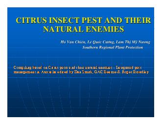 Báo cáo Nghiên cứu khoa học Citrus insect pest and theicitrus insect pest and their natural enemies