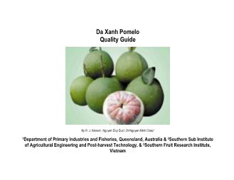 Báo cáo Nghiên cứu khoa học Da xanh pomelo quality guide