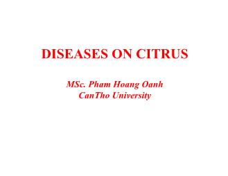 Báo cáo Nghiên cứu khoa học Diseases on citrus