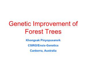 Báo cáo Nghiên cứu khoa học Genetic Improvement of Forest Trees