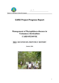 Báo cáo Nghiên cứu khoa học Management of Phytophthora diseases in Vietnamese Horticulture