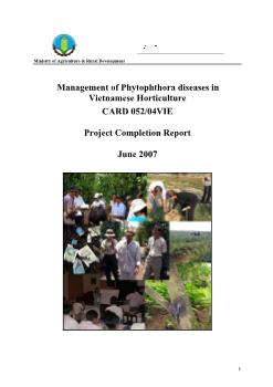 Báo cáo Nghiên cứu khoa học Management of Phytophthora diseases in Vietnamese Horticulture: Project Completion Report