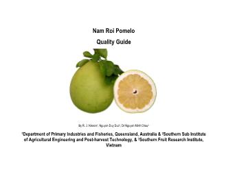Báo cáo Nghiên cứu khoa học Nam Roi Pomelo Quality Guide
