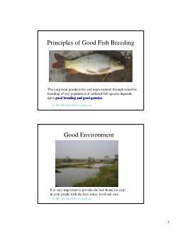 Báo cáo Nghiên cứu khoa học Principles of Good Fish Breeding