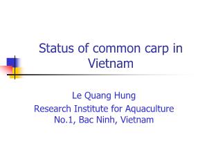 Báo cáo Nghiên cứu khoa học Status of common carp in Vietnam
