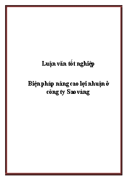 Luận văn Tốt nghiệp Biện pháp nâng cao lợi nhuận ở công ty Sao vàng