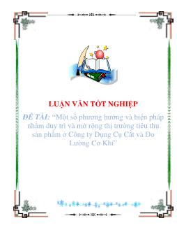 Luận văn Một số phương hướng và biện pháp nhằm duy trì và mở rộng thị trường tiêu thụ sản phẩm ở công ty dụng cụ cắt và đo lường cơ khí
