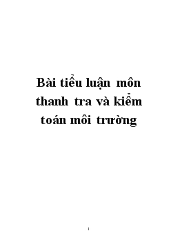 Tiểu luận môn thanh tra và kiểm toán môi trường