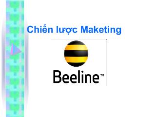 Đề tài Chiến lược Maketing Beeline