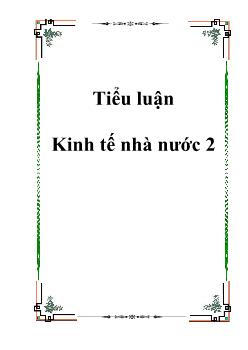 Tiểu luận Kinh tế nhà nước 2