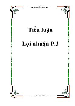 Tiểu luận Lợi nhuận phần 3