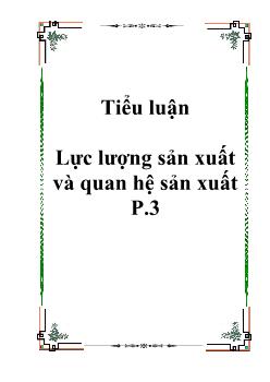 Tiểu luận Lực lượng sản xuất và quan hệ sản xuất phần 3