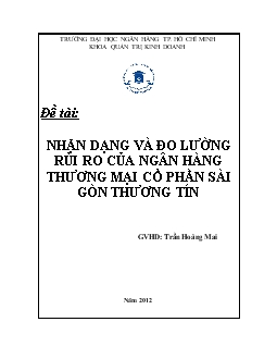 Đề tài Nhận dạng và đo lường rủi ro của ngân hàng thương mại cổ phần Sài Gòn Thương Tín