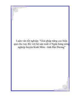 Luận văn Giải pháp nâng cao hiệu quả cho vay đối với hộ sản xuất ở Ngân hàng nông nghiệp huyện Kinh Môn - tỉnh Hải Dương