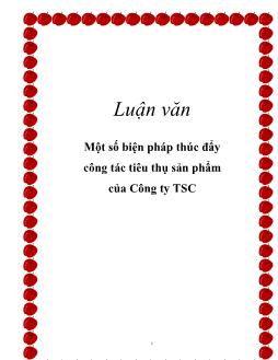 Luận văn Một số biện pháp thúc đẩy công tác tiêu thụ sản phẩm của Công ty TSC