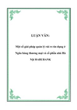 Luận văn Một số giải pháp quản lý rủi ro tín dụng ở Ngân hàng thương mại và cổ phần nhà Hà Nội HABUBANK