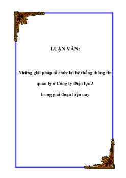 Luận văn Nghiên cứu những giải pháp tổ chức lại hệ thống thông tin quản lý ở Công ty Điện lực 3 trong giai đoạn hiện nay