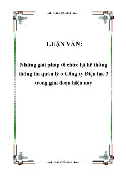 Luận văn Tìm những giải pháp tổ chức lại hệ thống thông tin quản lý ở Công ty Điện lực 3 trong giai đoạn hiện nay