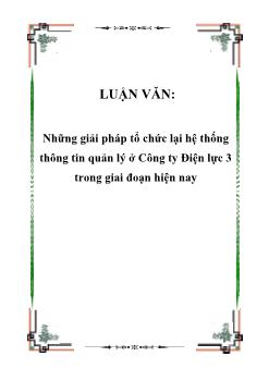 Luận văn Tìm những giải pháp tổ chức lại hệ thống thông tin quản lý ở Công ty Điện lực 3 trong giai đoạn hiện nay