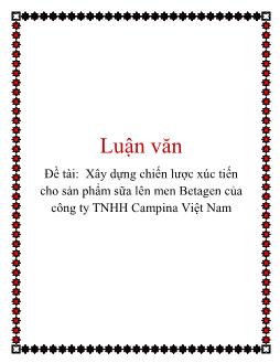Luận văn Xây dựng chiến lược xúc tiến cho sản phẩm sữa lên men Betagen của công ty TNHH Campina Việt Nam