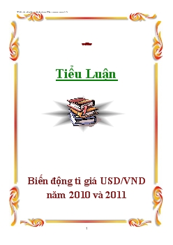 Tiểu luận Biến động tỉ giá USD-VND năm 2010 và 2011