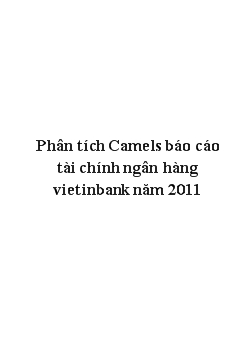 Đề tài Phân tích Camels báo cáo tài chính ngân hàng vietinbank năm 2011
