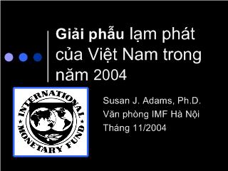 Bài giảng Giải phẫu lạm phát của Việt Nam trong năm 2004