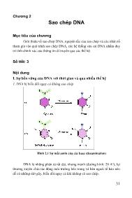 Bài giảng Sao chép DNA