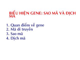 Bài giảng Biểu hiện gene: sao mã và dịch mã