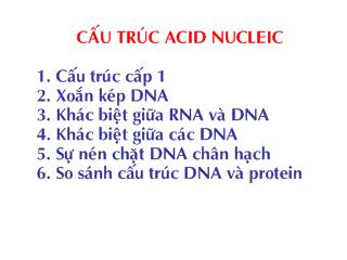 Bài giảng cấu trúc acid nucleic