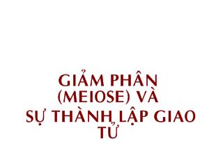 Bài giảng giảm phân (meiose) và sự thành lập giao tử