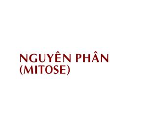 Bài giảng Hình dạng nhiễm sắc thể