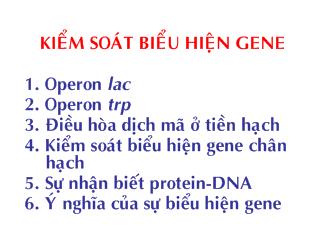 Bài giảng Kiểm soát biểu hiện gene