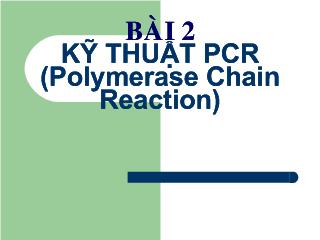 Bài giảng Kỹ thuật PCR (Polymerase chain reaction)