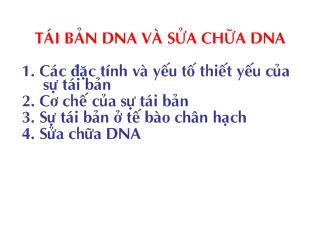 Bài giảng Tái bản dna và sửa chữa dna